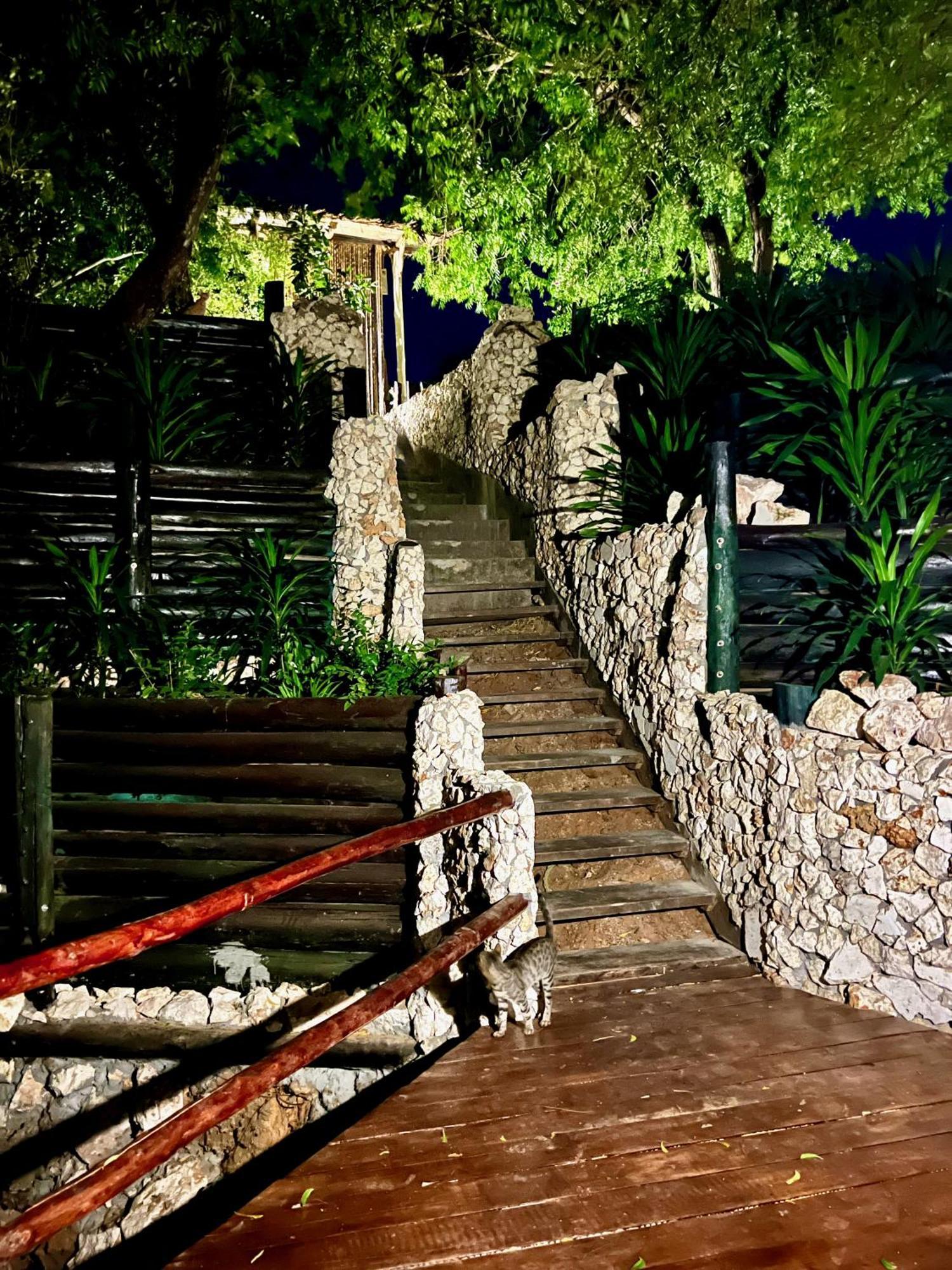Rock And Sea Resort Watamu Exteriér fotografie